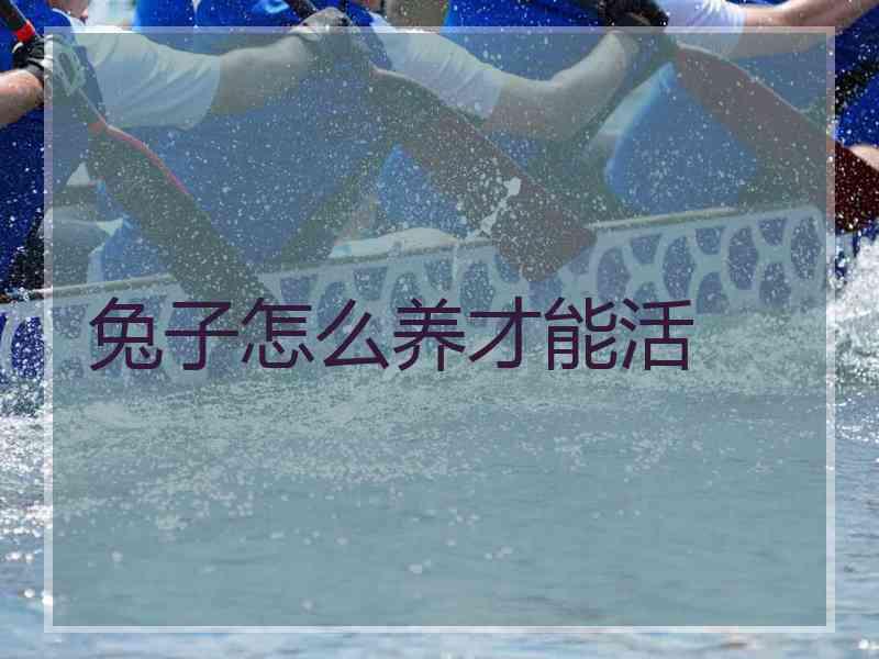 兔子怎么养才能活