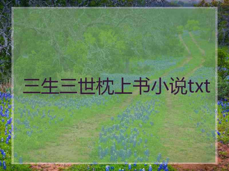 三生三世枕上书小说txt