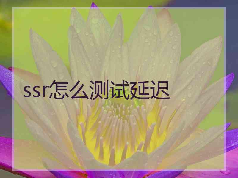 ssr怎么测试延迟