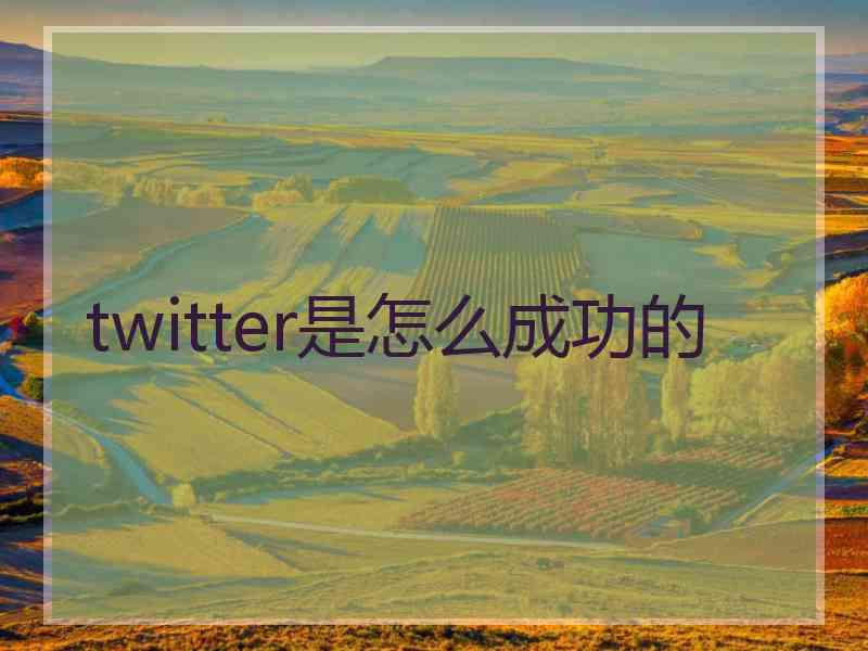 twitter是怎么成功的
