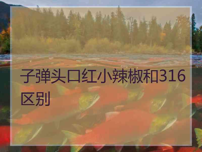 子弹头口红小辣椒和316区别