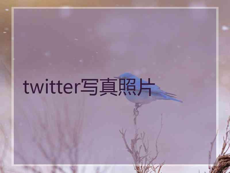 twitter写真照片