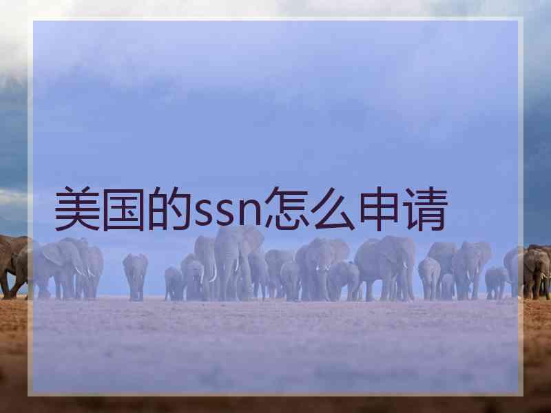 美国的ssn怎么申请