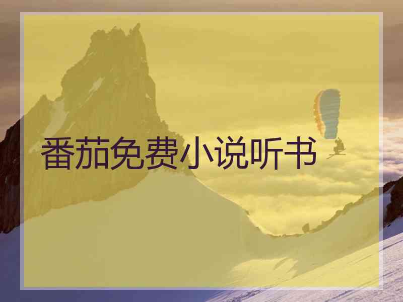 番茄免费小说听书