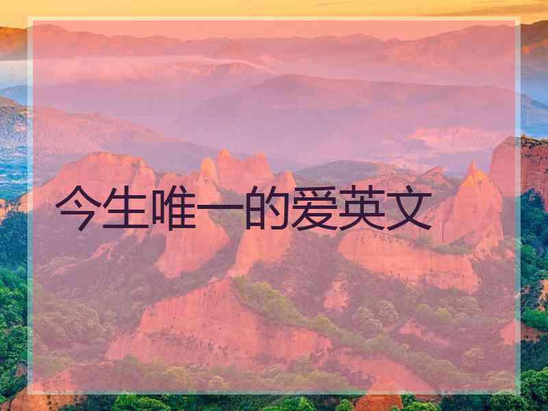 今生唯一的爱英文