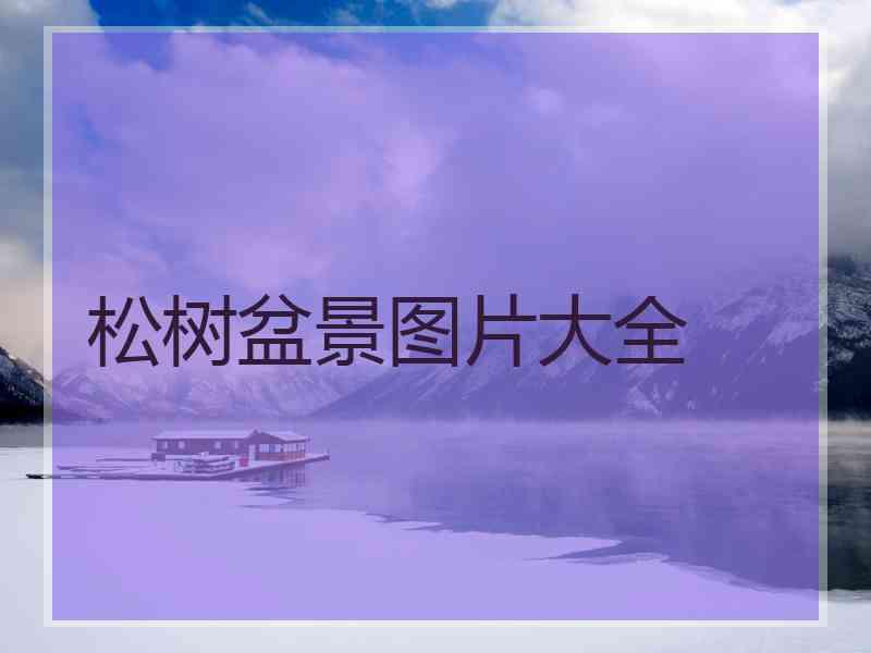 松树盆景图片大全