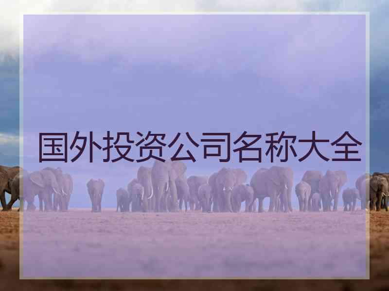国外投资公司名称大全