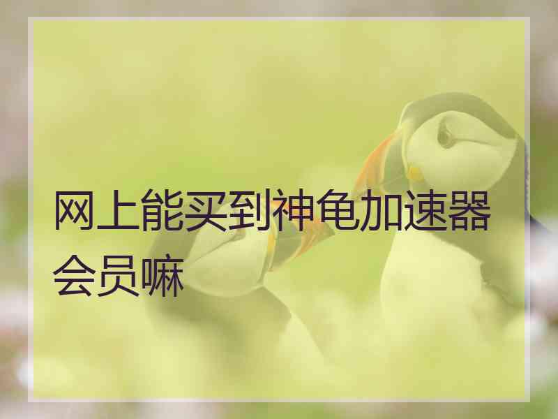 网上能买到神龟加速器会员嘛