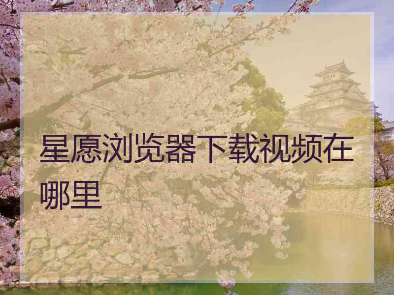 星愿浏览器下载视频在哪里