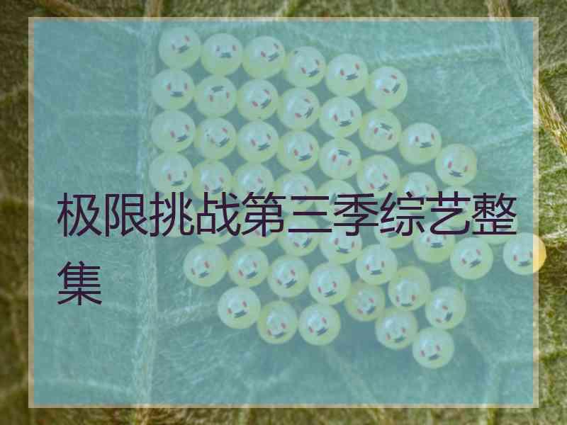 极限挑战第三季综艺整集