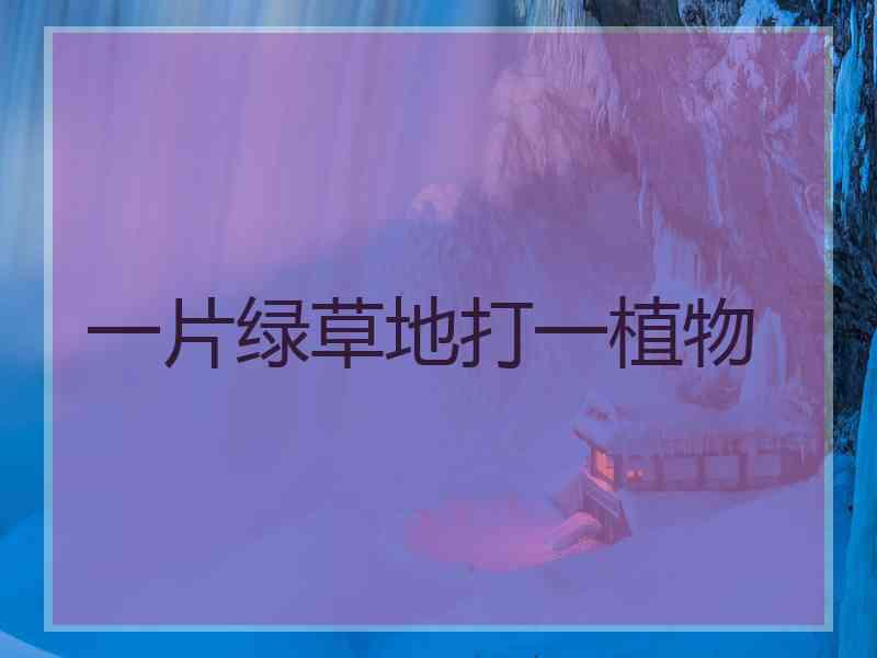 一片绿草地打一植物