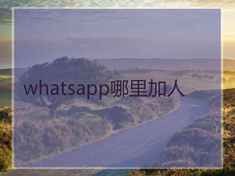whatsapp哪里加人