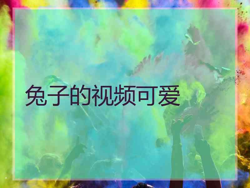兔子的视频可爱
