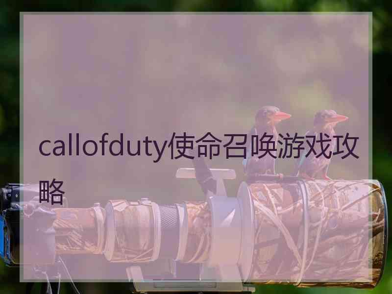 callofduty使命召唤游戏攻略