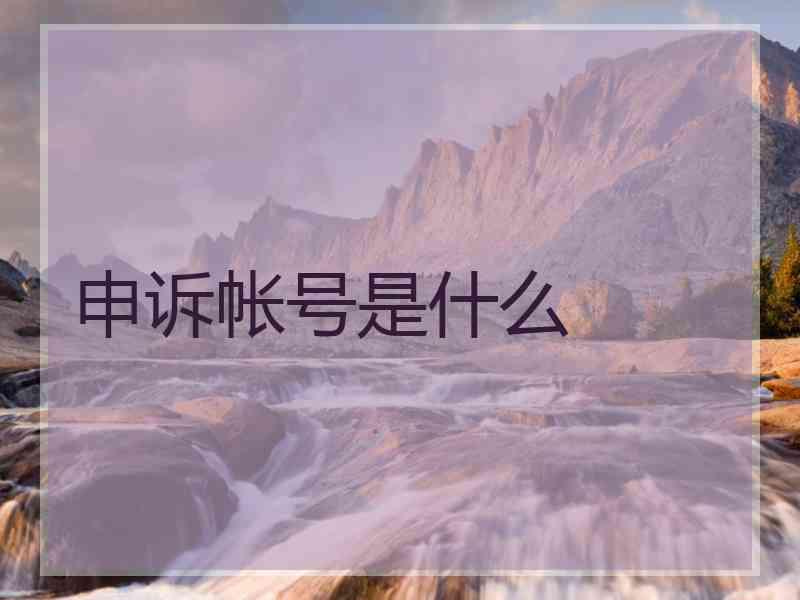申诉帐号是什么