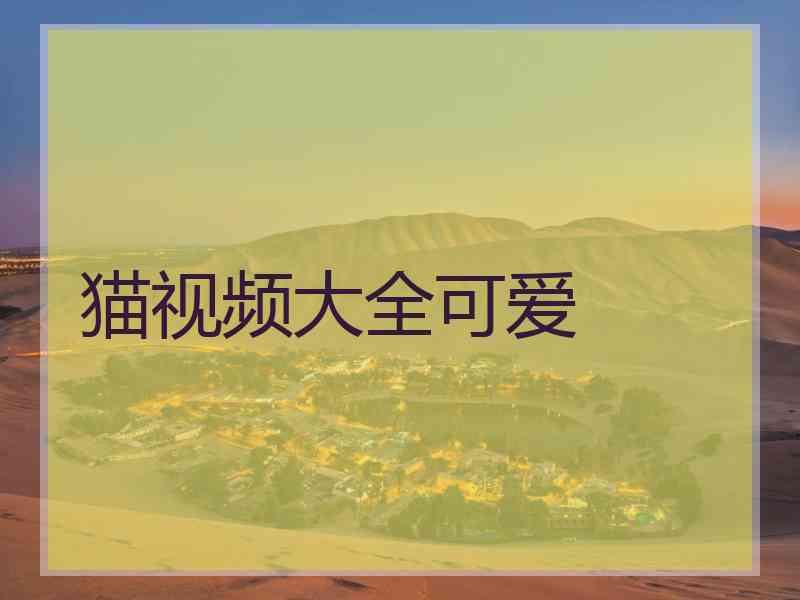 猫视频大全可爱