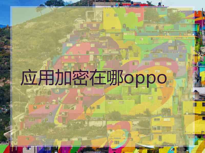 应用加密在哪oppo