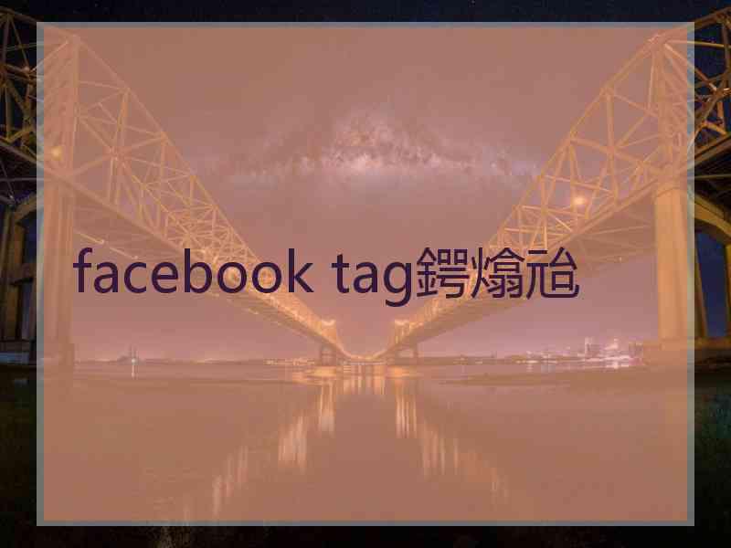 facebook tag鍔熻兘