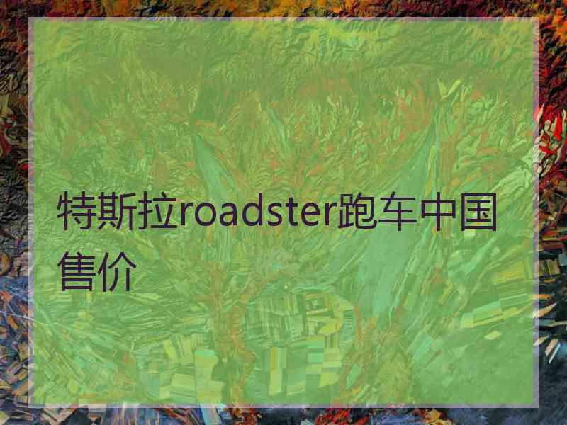 特斯拉roadster跑车中国售价