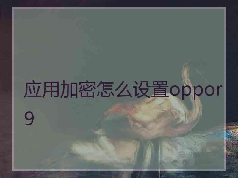 应用加密怎么设置oppor9