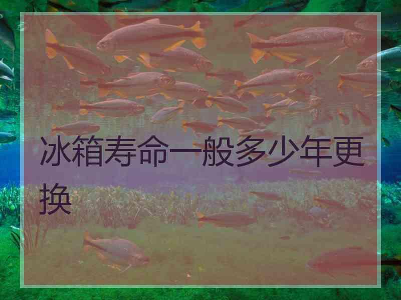 冰箱寿命一般多少年更换