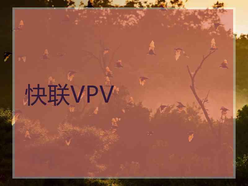 快联VPV