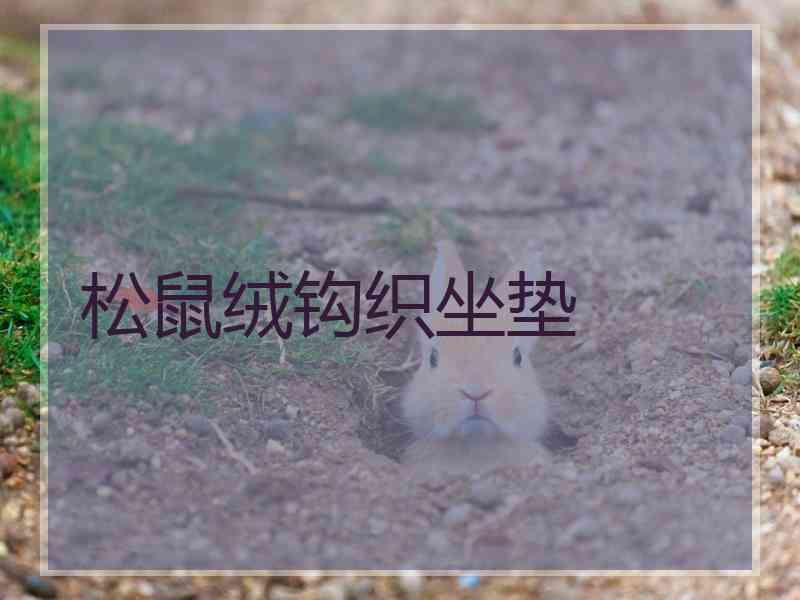 松鼠绒钩织坐垫