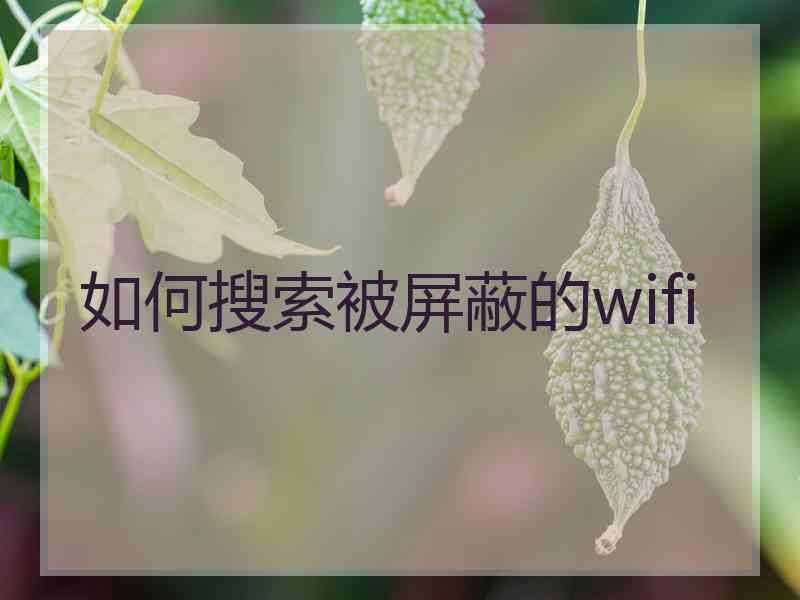 如何搜索被屏蔽的wifi