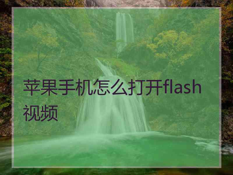 苹果手机怎么打开flash视频