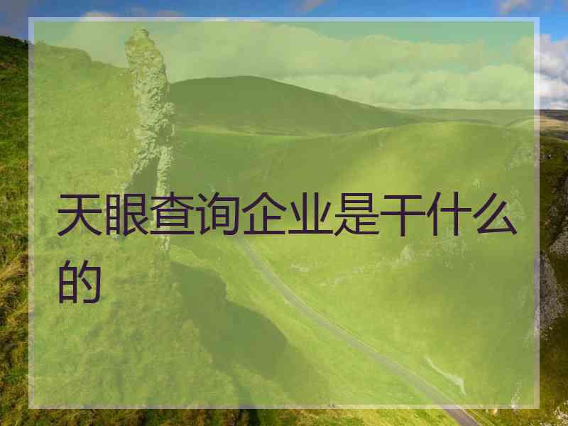 天眼查询企业是干什么的