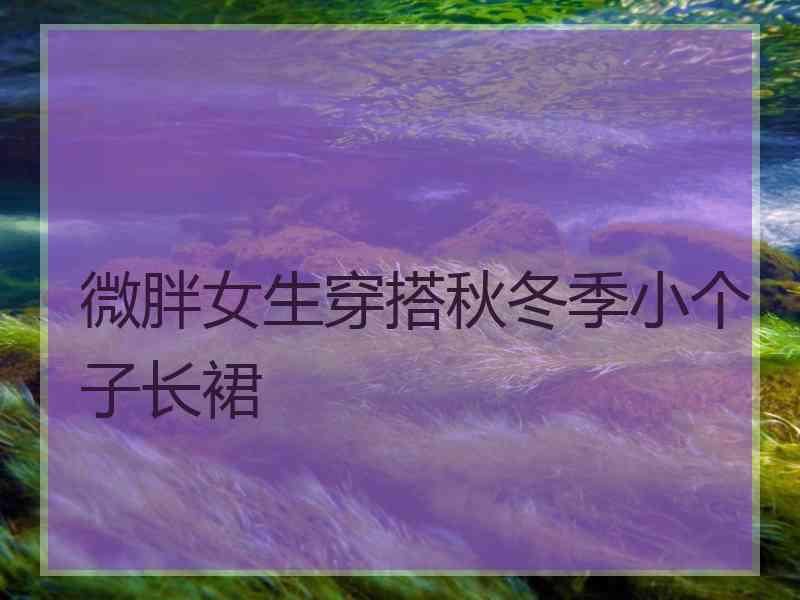 微胖女生穿搭秋冬季小个子长裙