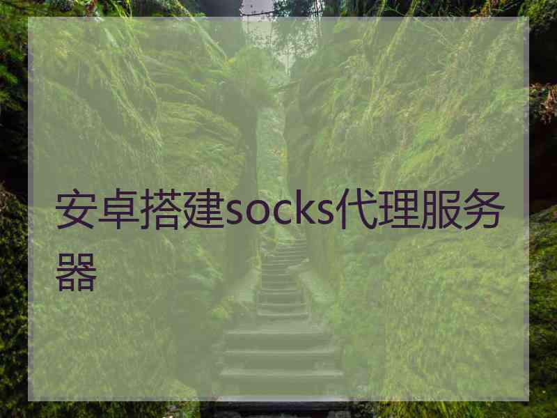 安卓搭建socks代理服务器