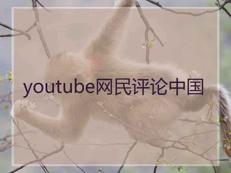 youtube网民评论中国