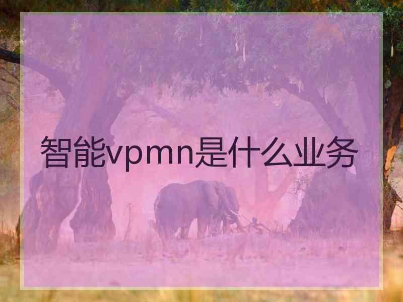 智能vpmn是什么业务