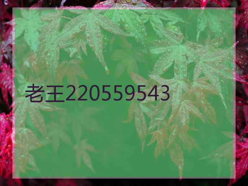 老王220559543