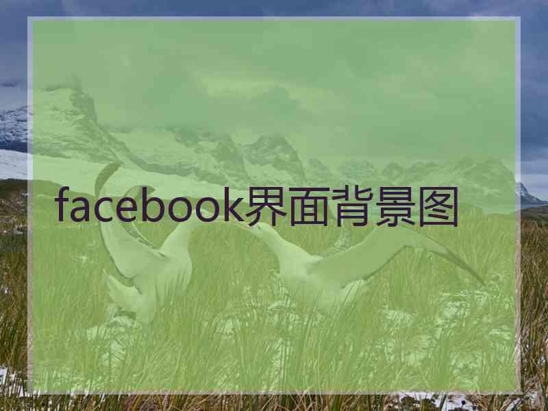 facebook界面背景图