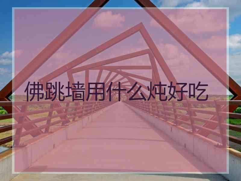佛跳墙用什么炖好吃