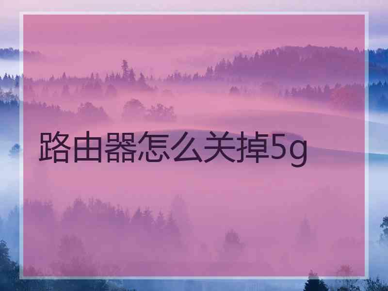 路由器怎么关掉5g