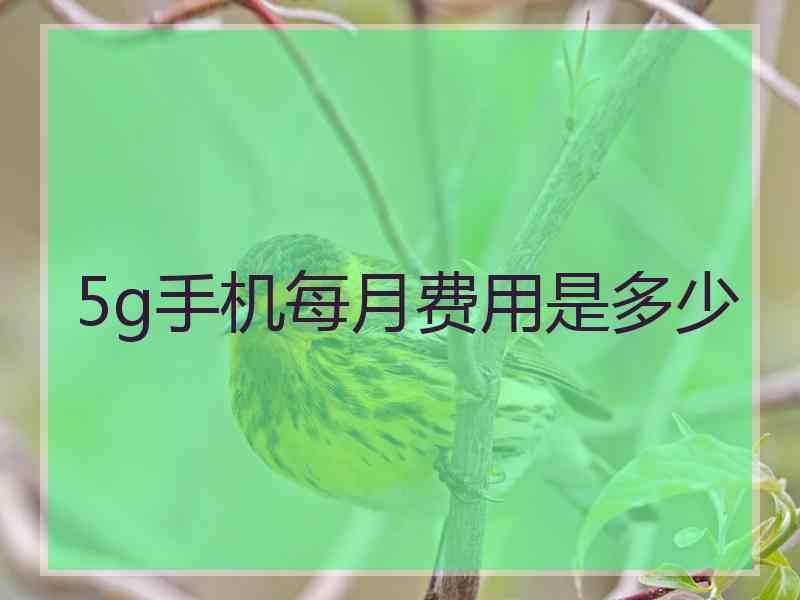5g手机每月费用是多少
