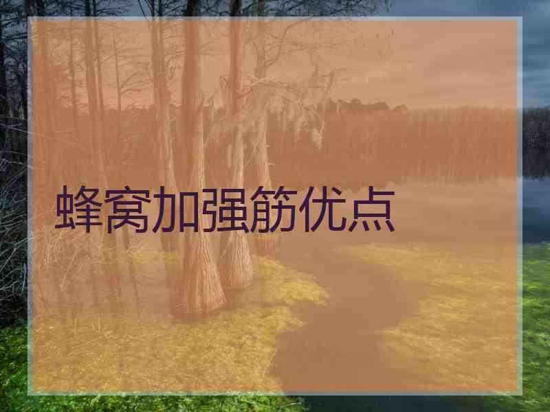 蜂窝加强筋优点