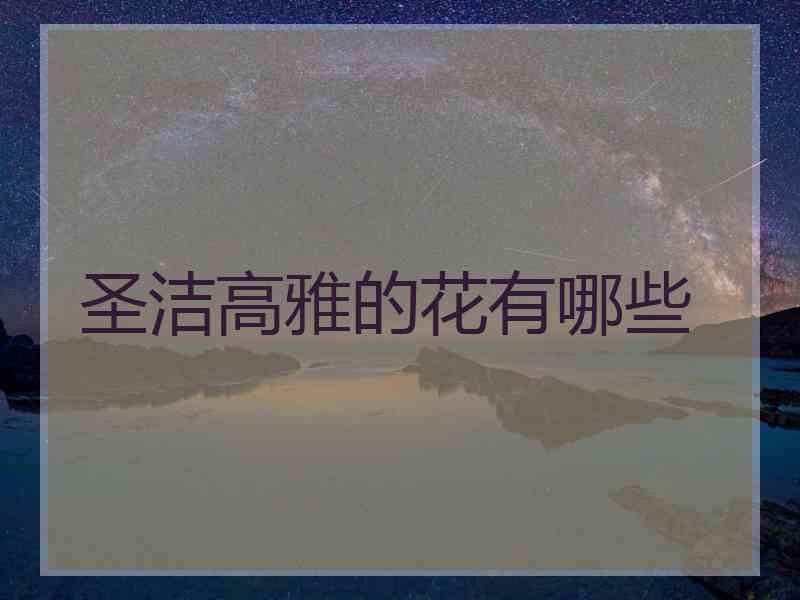 圣洁高雅的花有哪些