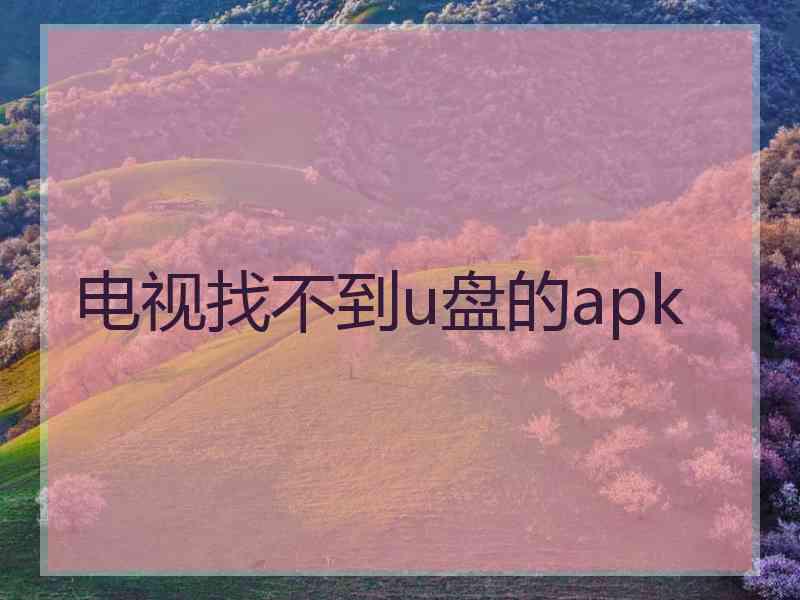 电视找不到u盘的apk