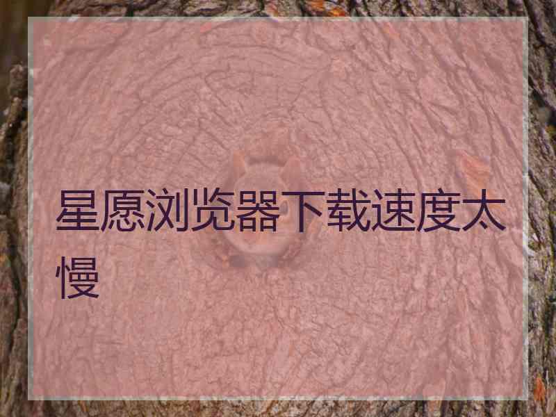 星愿浏览器下载速度太慢