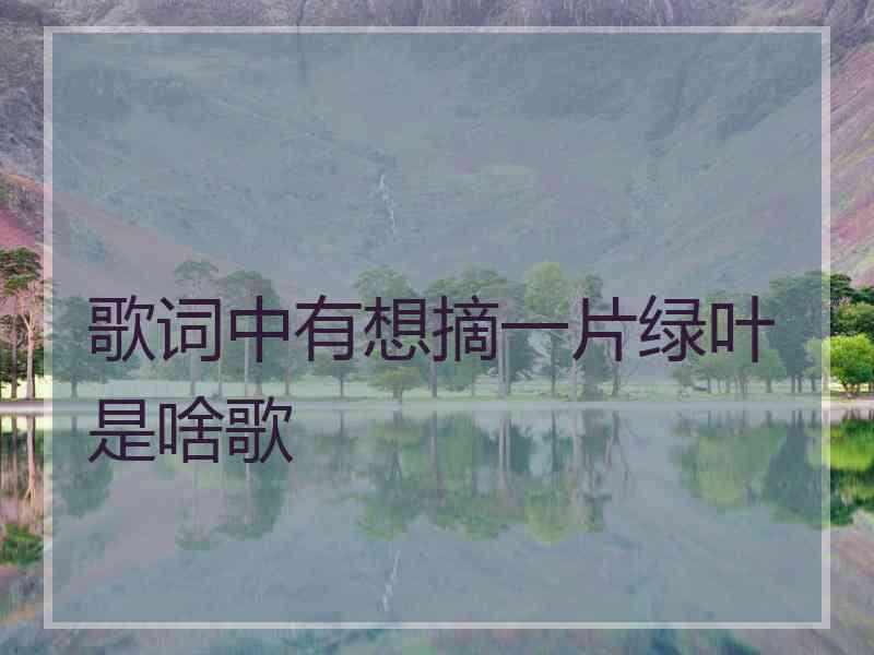歌词中有想摘一片绿叶是啥歌