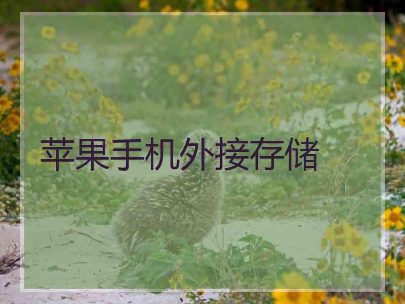 苹果手机外接存储