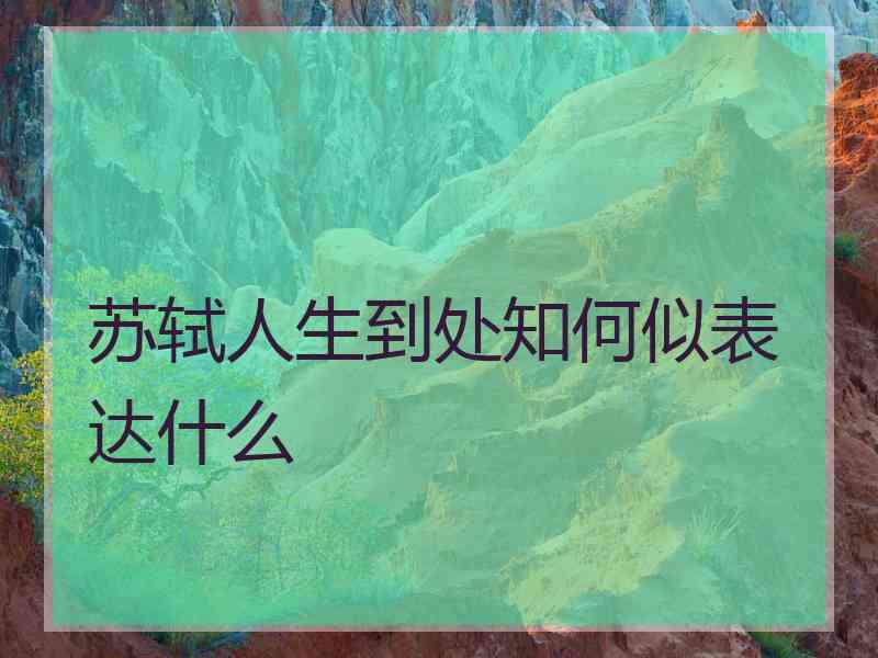 苏轼人生到处知何似表达什么
