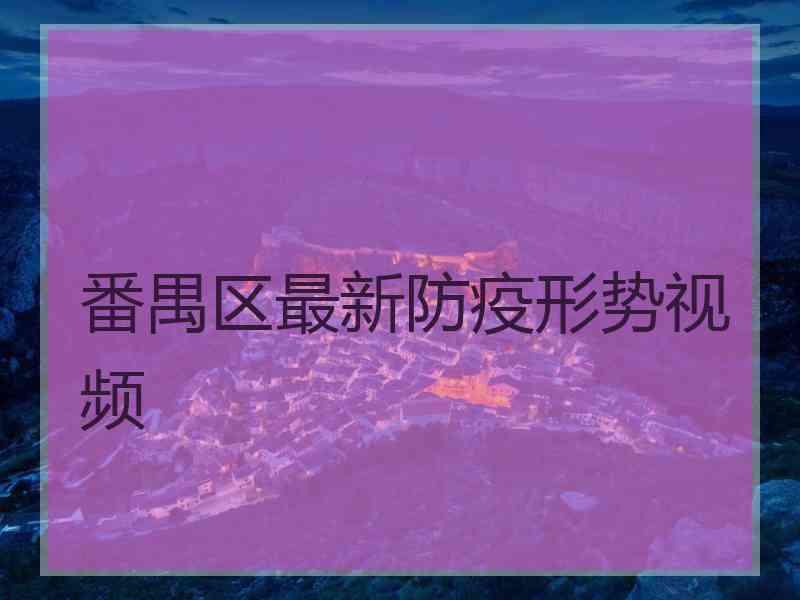 番禺区最新防疫形势视频
