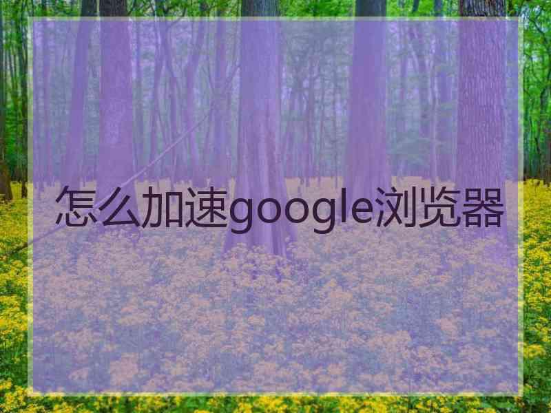 怎么加速google浏览器