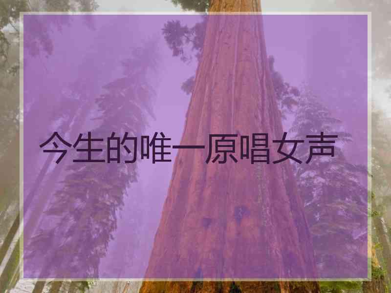 今生的唯一原唱女声