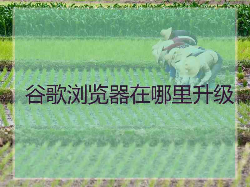 谷歌浏览器在哪里升级